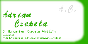 adrian csepela business card